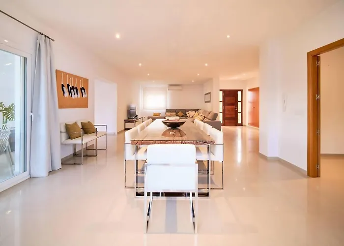 Romeo Cerca De La Playa De Talamanca E Ibiza